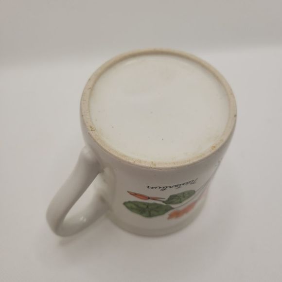 Vintage Nasturtium Botanical Healing Florals Coffee Mug - Picture 7 of 7